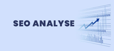 SEO Analyse