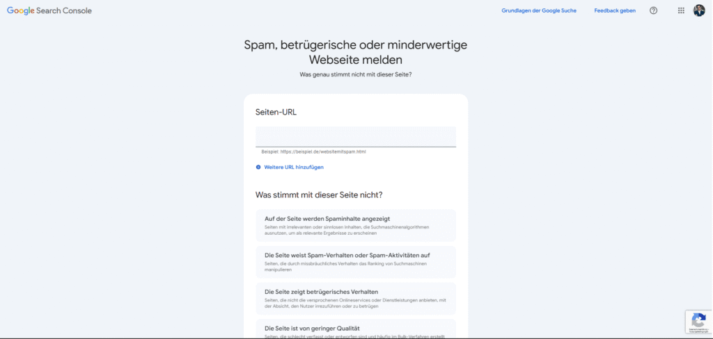 cybersquatting